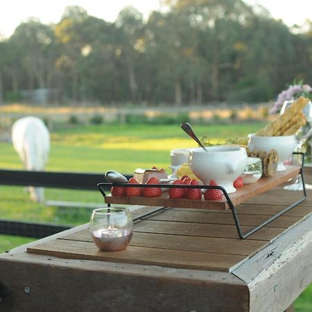 Wagtail Nest Country Retreat - Longford Vic 3851 Bed and Breakfast Sale Eksteriør billede