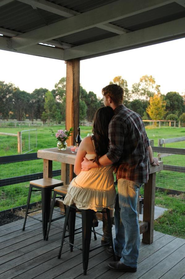 Wagtail Nest Country Retreat - Longford Vic 3851 Bed and Breakfast Sale Eksteriør billede